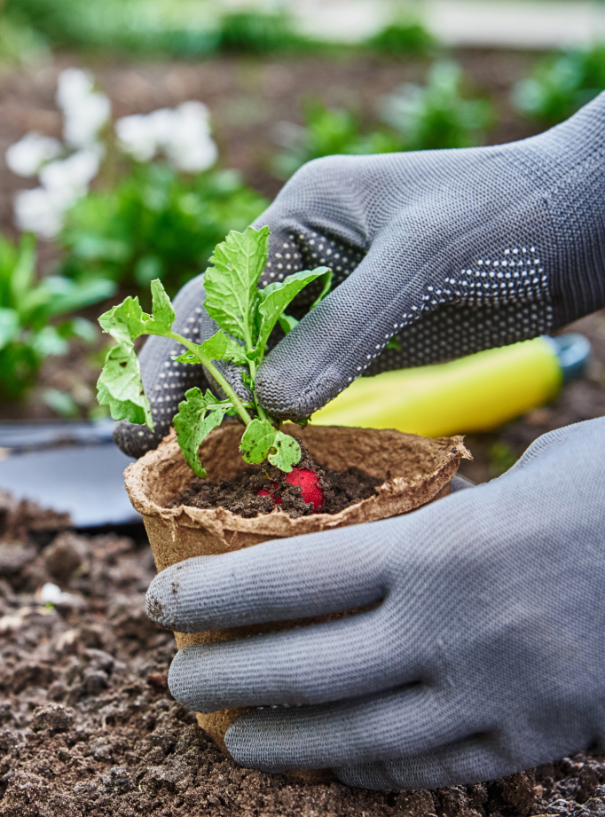  Gardening